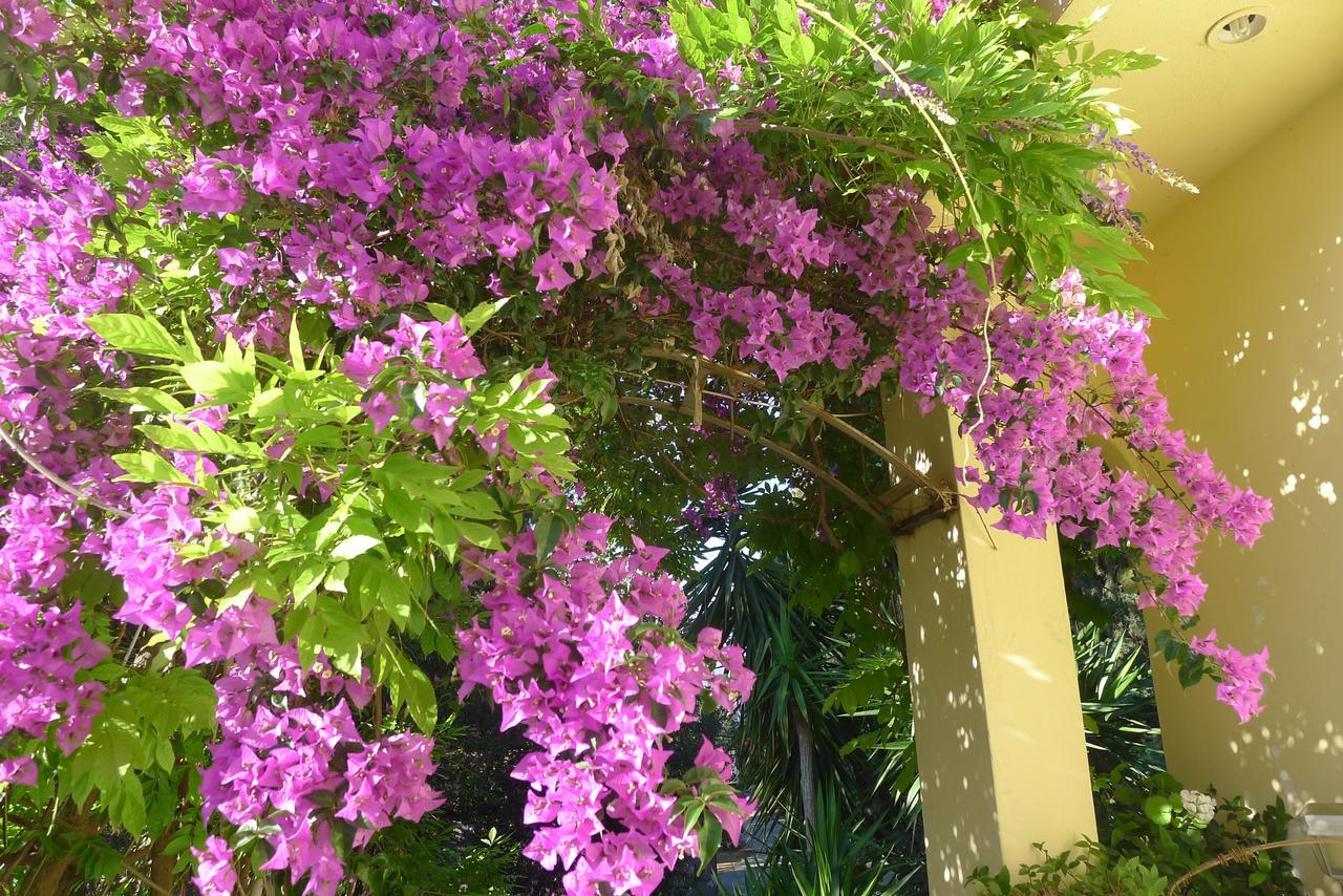 St. Thomas Bed And Breakfast Paiania Exterior foto